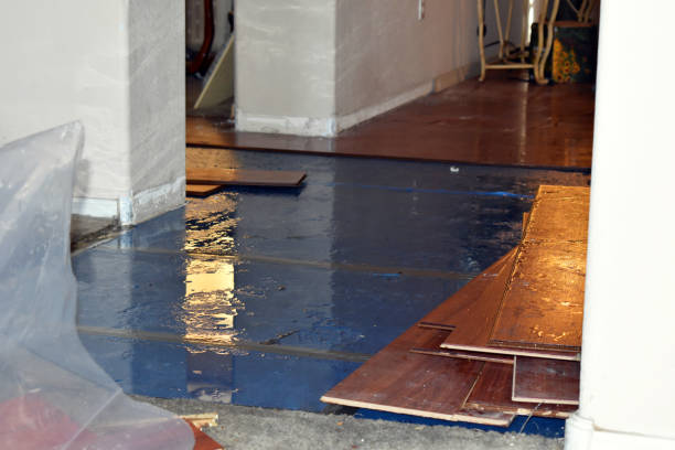 Professional Basement Water Removal technician working in Brownfield, TX